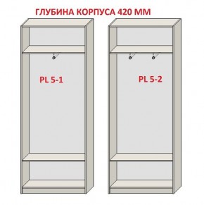 Шкаф распашной серия «ЗЕВС» (PL3/С1/PL2) в Екатеринбурге - mebel24.online | фото 8