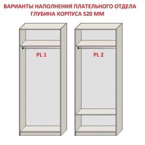 Шкаф распашной серия «ЗЕВС» (PL3/С1/PL2) в Екатеринбурге - mebel24.online | фото 9