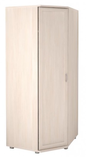 Шкаф угловой для одежды Ника-Люкс 30 с зеркалами в Екатеринбурге - mebel24.online | фото 2