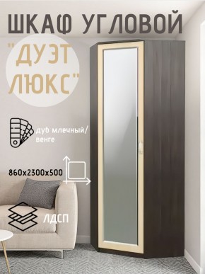Шкаф угловой Дуэт Люкс с зеркалом в Екатеринбурге - mebel24.online | фото 5