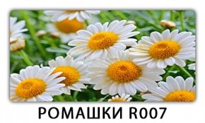 Стол раздвижной Трилогия с фотопечатью Ромашки R007 в Екатеринбурге - mebel24.online | фото 15