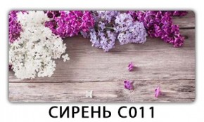 Стол раздвижной Трилогия с фотопечатью Ромашки R007 в Екатеринбурге - mebel24.online | фото 16