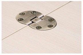 Стол-трансформер Престиж в Екатеринбурге - mebel24.online | фото 10