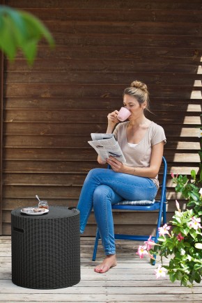 Столик-холодильник Кул-Стул (Cool stool) коричневый в Екатеринбурге - mebel24.online | фото 2
