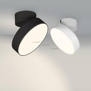 Светильник на штанге Arlight SP-RONDO-FLAP-R210-20W Day4000 (BK, 110 deg) 026453 в Екатеринбурге - mebel24.online | фото 3