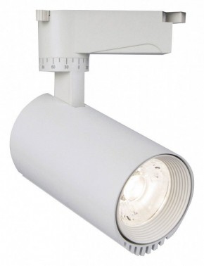 Светильник на штанге Escada 20031 20031TRA/01LED SWH в Екатеринбурге - mebel24.online | фото