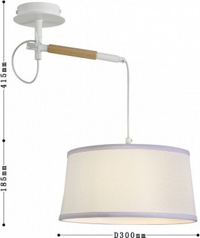 Светильник на штанге F-promo Eureka 3005-1P в Екатеринбурге - mebel24.online | фото 5