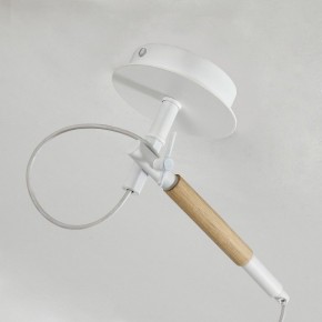 Светильник на штанге F-promo Eureka 3005-1P в Екатеринбурге - mebel24.online | фото 8