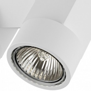 Светильник на штанге Lightstar Illumo X2 051036 в Екатеринбурге - mebel24.online | фото 2