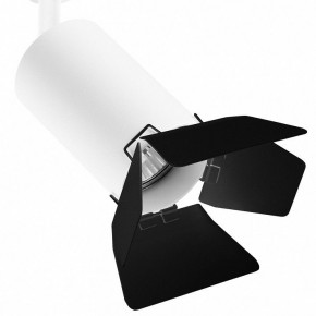 Светильник на штанге Lightstar Rullo R1T436437 в Екатеринбурге - mebel24.online | фото 2