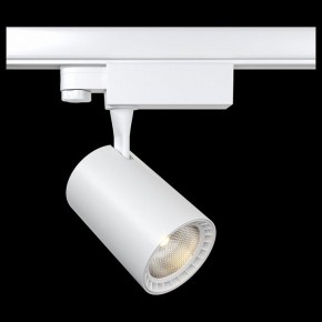 Светильник на штанге Maytoni Vuoro TR029-3-10W3K-W в Екатеринбурге - mebel24.online | фото 2