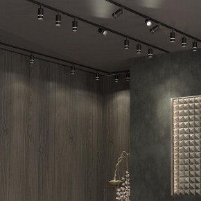 Светильник на штанге Novotech Elina 370777 в Екатеринбурге - mebel24.online | фото 4