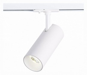 Светильник на штанге ST-Luce Mono ST350.536.20.36 в Екатеринбурге - mebel24.online | фото 2