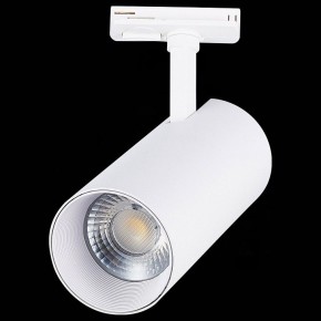 Светильник на штанге ST-Luce Mono ST350.546.30.36 в Екатеринбурге - mebel24.online | фото 6