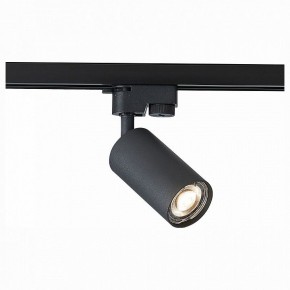 Светильник на штанге ST-Luce Solt ST300.406.01 в Екатеринбурге - mebel24.online | фото 1