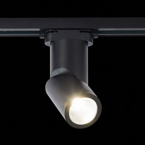 Светильник на штанге ST-Luce ST650 ST650.446.10 в Екатеринбурге - mebel24.online | фото 2