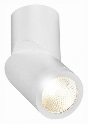 Светильник на штанге ST-Luce ST650 ST650.532.10 в Екатеринбурге - mebel24.online | фото 3