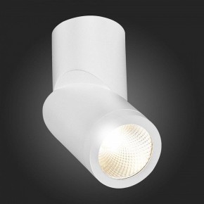 Светильник на штанге ST-Luce ST650 ST650.532.10 в Екатеринбурге - mebel24.online | фото 6