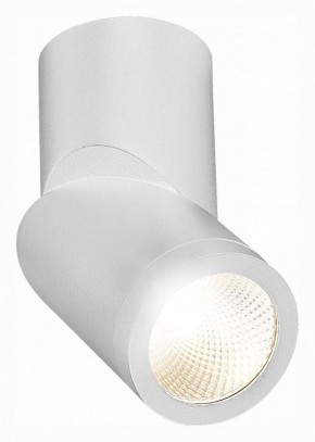 Светильник на штанге ST-Luce ST650 ST650.542.10 в Екатеринбурге - mebel24.online | фото 3
