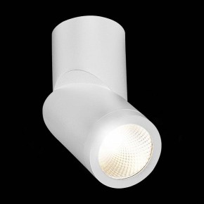 Светильник на штанге ST-Luce ST650 ST650.542.10 в Екатеринбурге - mebel24.online | фото 5