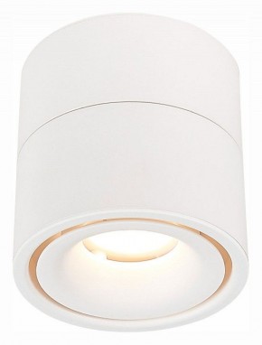 Светильник на штанге ST-Luce ST652 ST652.532.12 в Екатеринбурге - mebel24.online | фото 2