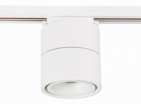 Светильник на штанге ST-Luce ST652 ST652.546.12 в Екатеринбурге - mebel24.online | фото 2
