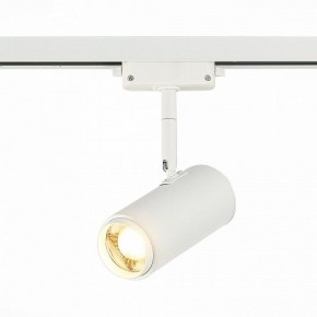 Светильник на штанге ST-Luce Zoom ST600.536.12 в Екатеринбурге - mebel24.online | фото 2
