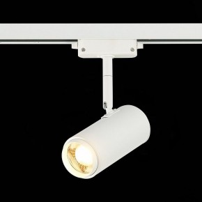 Светильник на штанге ST-Luce Zoom ST600.536.12 в Екатеринбурге - mebel24.online | фото 4