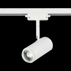 Светильник на штанге ST-Luce Zoom ST600.546.12 в Екатеринбурге - mebel24.online | фото 5