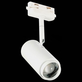 Светильник на штанге ST-Luce Zoom ST600.546.12 в Екатеринбурге - mebel24.online | фото 6