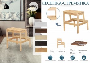 Табурет Стремянка в Екатеринбурге - mebel24.online | фото 6