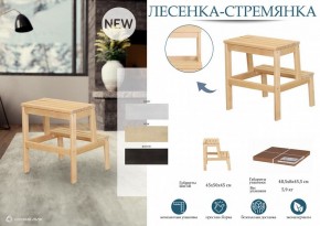 Табурет Стремянка в Екатеринбурге - mebel24.online | фото 4