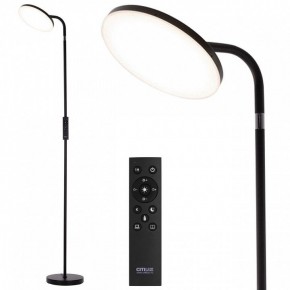Торшер Citilux SOLO CL804061 в Екатеринбурге - mebel24.online | фото 2