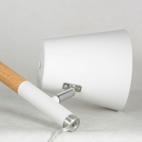 Торшер Lussole Buckeye LSP-0628 в Екатеринбурге - mebel24.online | фото 4