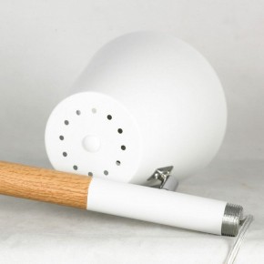 Торшер Lussole Buckeye LSP-0628 в Екатеринбурге - mebel24.online | фото 5