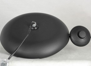 Торшер Lussole Flagstaff LSP-0629 в Екатеринбурге - mebel24.online | фото 5