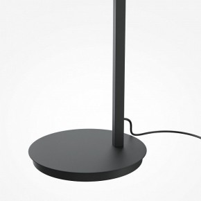 Торшер Maytoni Emphaty MOD363FL-L14B3K в Екатеринбурге - mebel24.online | фото 5