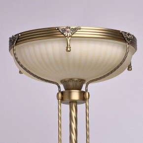 Торшер MW-Light Афродита 1 317040901 в Екатеринбурге - mebel24.online | фото 3