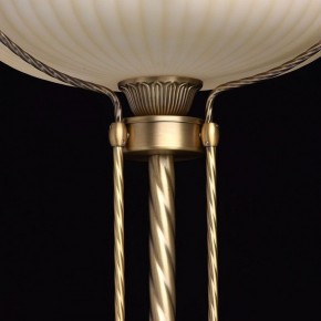 Торшер MW-Light Афродита 1 317040901 в Екатеринбурге - mebel24.online | фото 6