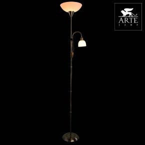Торшер с подсветкой Arte Lamp Duetto A9569PN-2AB в Екатеринбурге - mebel24.online | фото 3