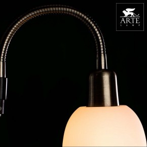 Торшер с подсветкой Arte Lamp Duetto A9569PN-2AB в Екатеринбурге - mebel24.online | фото 4