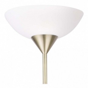 Торшер с подсветкой Arte Lamp Duetto A9569PN-2AB в Екатеринбурге - mebel24.online | фото 5