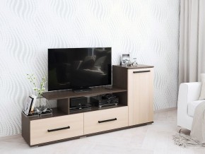 Тумба ТВ Парус-1 Дуб молочный/Венге в Екатеринбурге - mebel24.online | фото