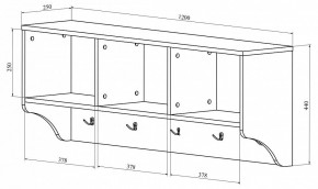 Вешалка-полка ДримСтар ДС-30 в Екатеринбурге - mebel24.online | фото 3