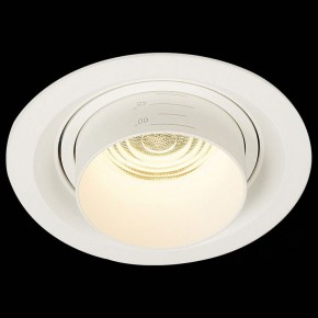 Встраиваемый светильник ST-Luce Zoom ST701.538.12 в Екатеринбурге - mebel24.online | фото 4