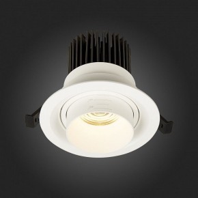 Встраиваемый светильник ST-Luce Zoom ST701.538.12 в Екатеринбурге - mebel24.online | фото 8